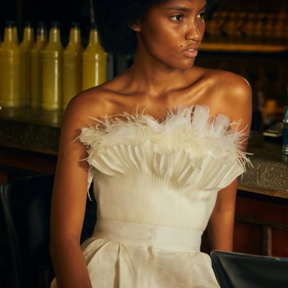 NWT 30% Off-Andres Otalora Brassavola Feather-Embellished Silk-Organza Top -US 6 - Picture 2 of 14